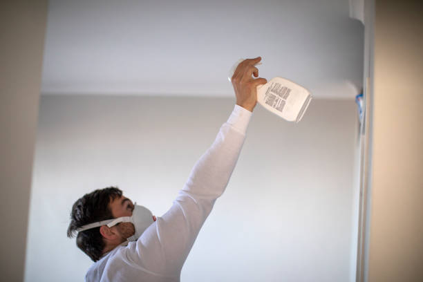 Best Certified Mold Removal  in West New York, NJ