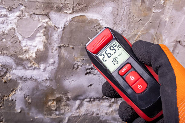 Best Emergency Mold Removal  in West New York, NJ