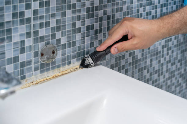 Best Mold Remediation  in West New York, NJ